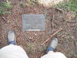 image of grave number 593772